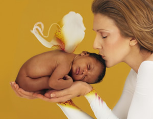 C TI PA MIMI TOUT PLEIN