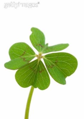 trefle 4 feuilles!!!!